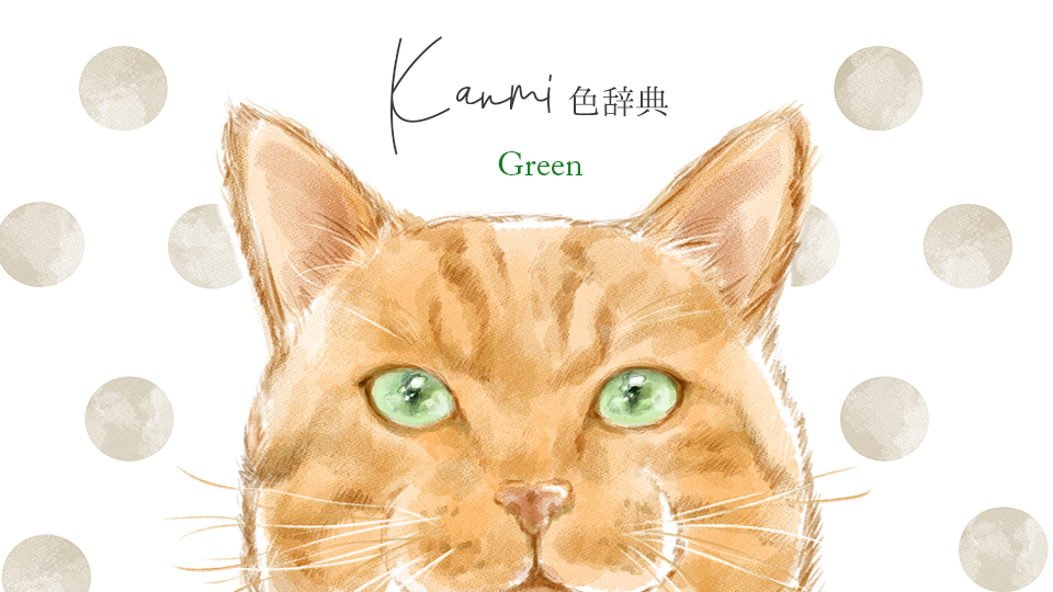 Kanmi.どら GREEN