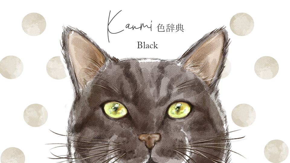 Kanmi.どら BLACK