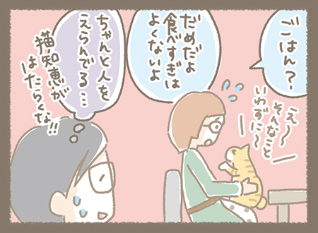 Kanmi.4コマ漫画「猫知恵」