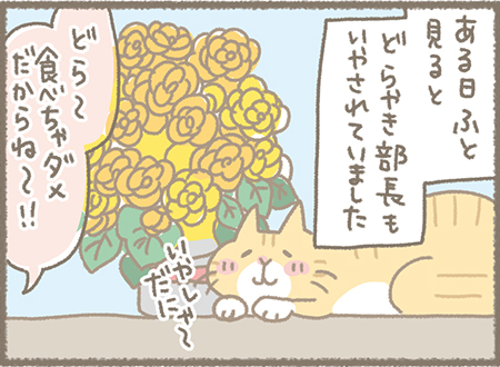 Kanmi.4コマ漫画「いやしの贈りもの」