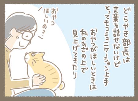 Kanmiマンガ「コミュ力高め猫部長」