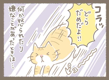 Kanmiマンガ「コミュ力高め猫部長」