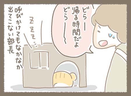 Kanmiマンガ「頑固な部長」