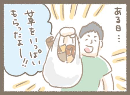 ある日、マツさんが革をいっぱいもらってきました