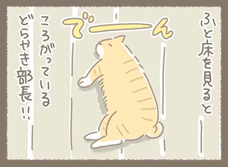 ふと床を見ると、でーーんところがっているどらやき部長！！