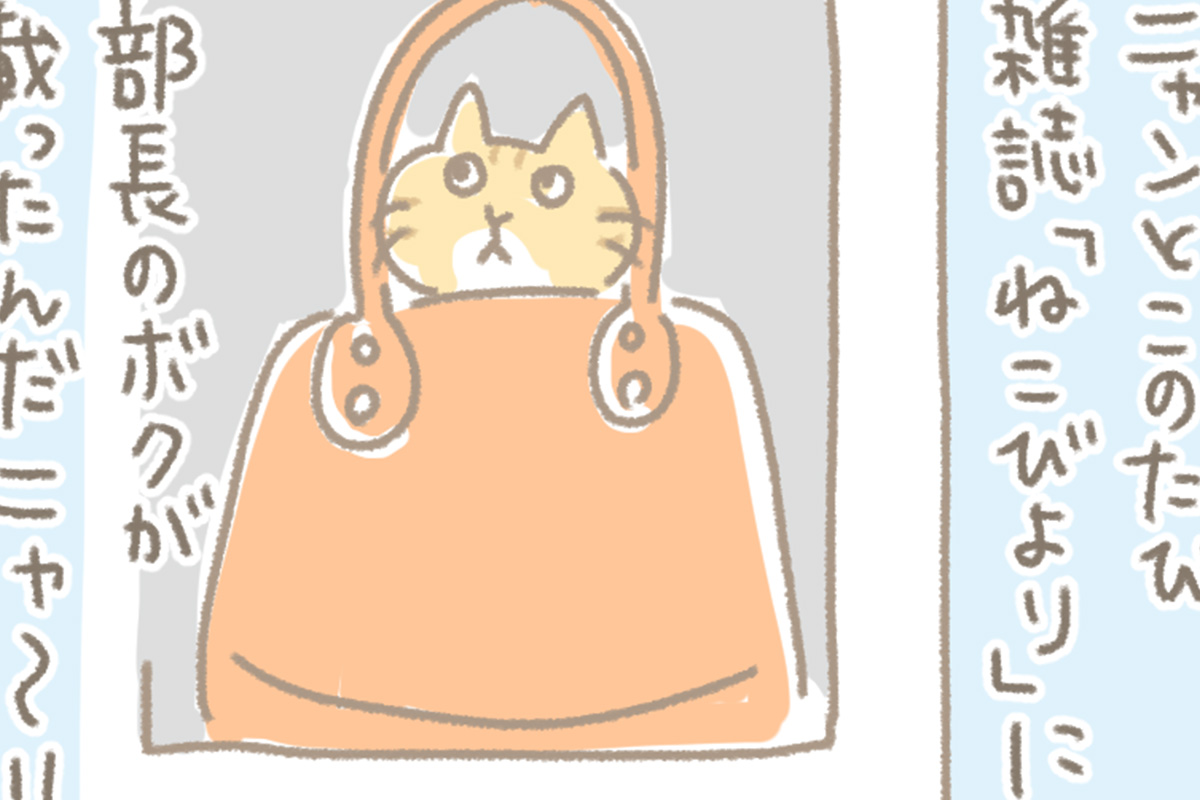 浅草革小物　Kanmi漫画「ねこびより」