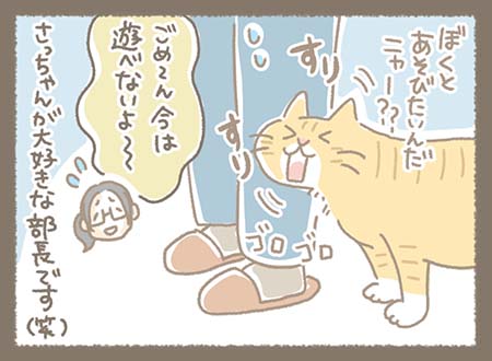 どらやきが僕と遊びたいんだニャーとさっちゃんにすりすりゴロゴロするも、今は忙しくて遊べないと謝るさっちゃん