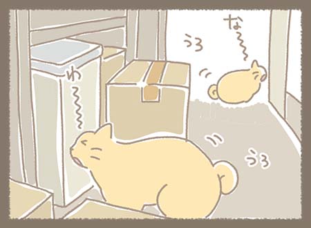 みなちゃんを探しに鳴きながらうろうろするどらやき