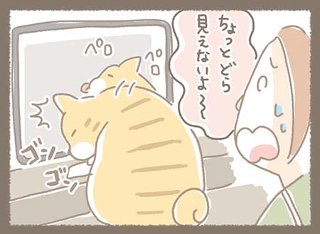 みなちゃんがマンガをＰＣで見ていると見えないように邪魔をしてくるどらやき