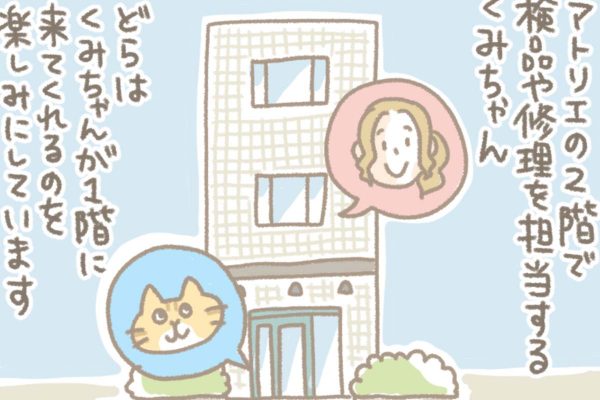 浅草革小物　Kanmi漫画「どらの中のイメージ：くみちゃん編」