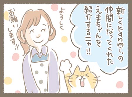 新しくKanmi.の仲間になってくれたえまちゃんをどらやき部長が紹介します