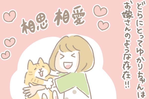 浅草革小物　Kanmi漫画「どらの中のイメージ：ゆかりちゃん編」
