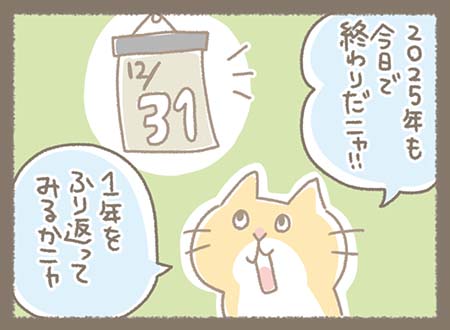 12月31日。 看板ネコであり部長でもあるどらやきが、今年を振り返りながら話す。