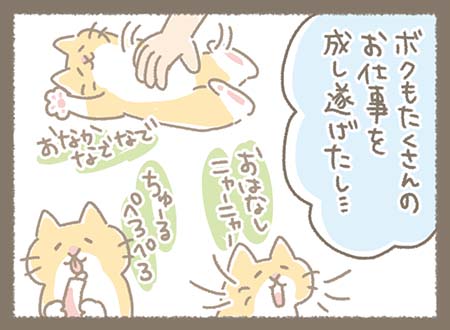 なでられたり、くつろいだり、好きなおやつを楽しむという仕事を成し遂げて満足そうなどらやき部長