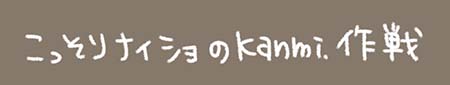 Kanmiマンガ「こっそりナイショのKanmi.作戦」