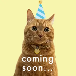 どらやきキーリング