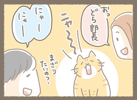 どらちゃん（猫）が鳴き出し、「どら部長？」とみんなが反応する。