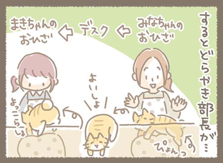 “どらやき部長”(猫)が、みなちゃんの席からまきちゃんの席へ移動中。 机の上を堂々と歩きながら、スタッフたちは自然に受け入れている。