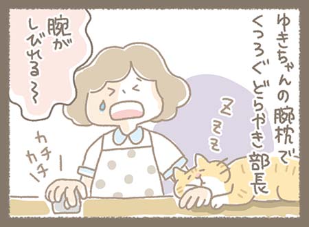 ゆきちゃんの腕枕でくつろぐどらやき部長のせいで腕がしびれてしまったゆきちゃん
