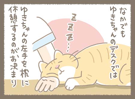 なかでもゆきちゃんの左手を枕に休憩するのがお気に入り。部長は「ZZZ…」と気持ちよさそうに眠り、ゆきちゃんは左手を貸したまま作業しています。