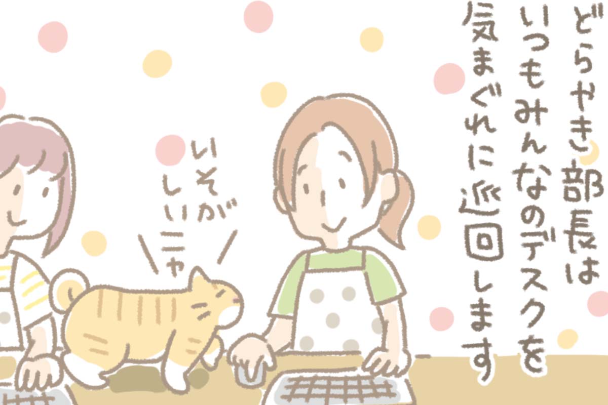 浅草革小物　Kanmi漫画「どらハラ その２」