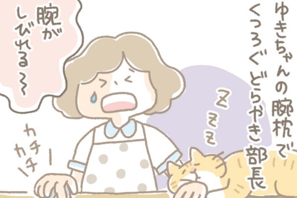 浅草革小物　Kanmi漫画「どらハラ その３ 解決編」