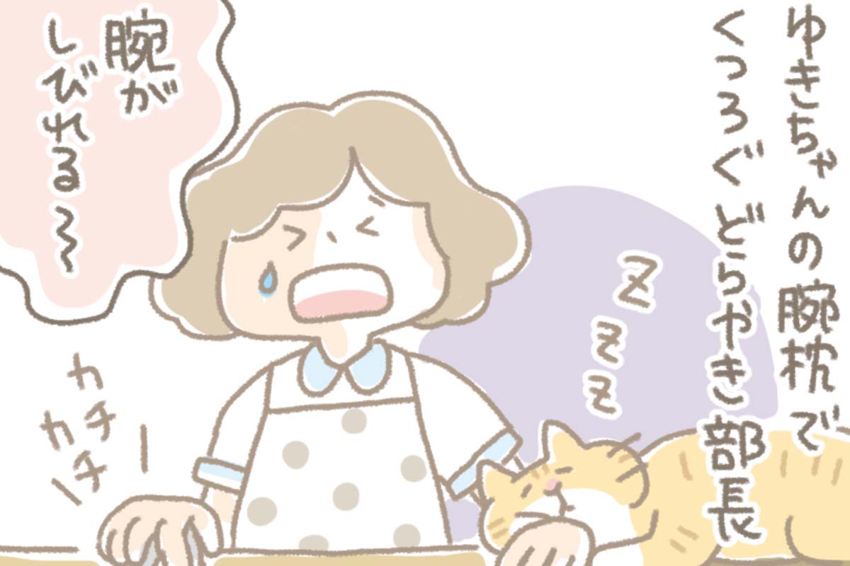 浅草革小物　Kanmi漫画「どらハラ その３ 解決編」