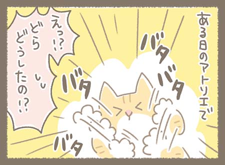 アトリエで、猫が激しくバタバタと暴れている。それを見て「えっ!? どうしたの!?」と驚いている様子。