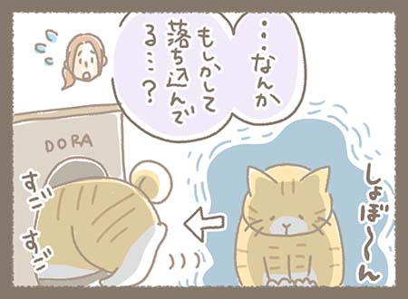 猫がしょんぼりして元気がない様子を見て、スタッフが「もしかして落ち込んでる…?」と心配している。