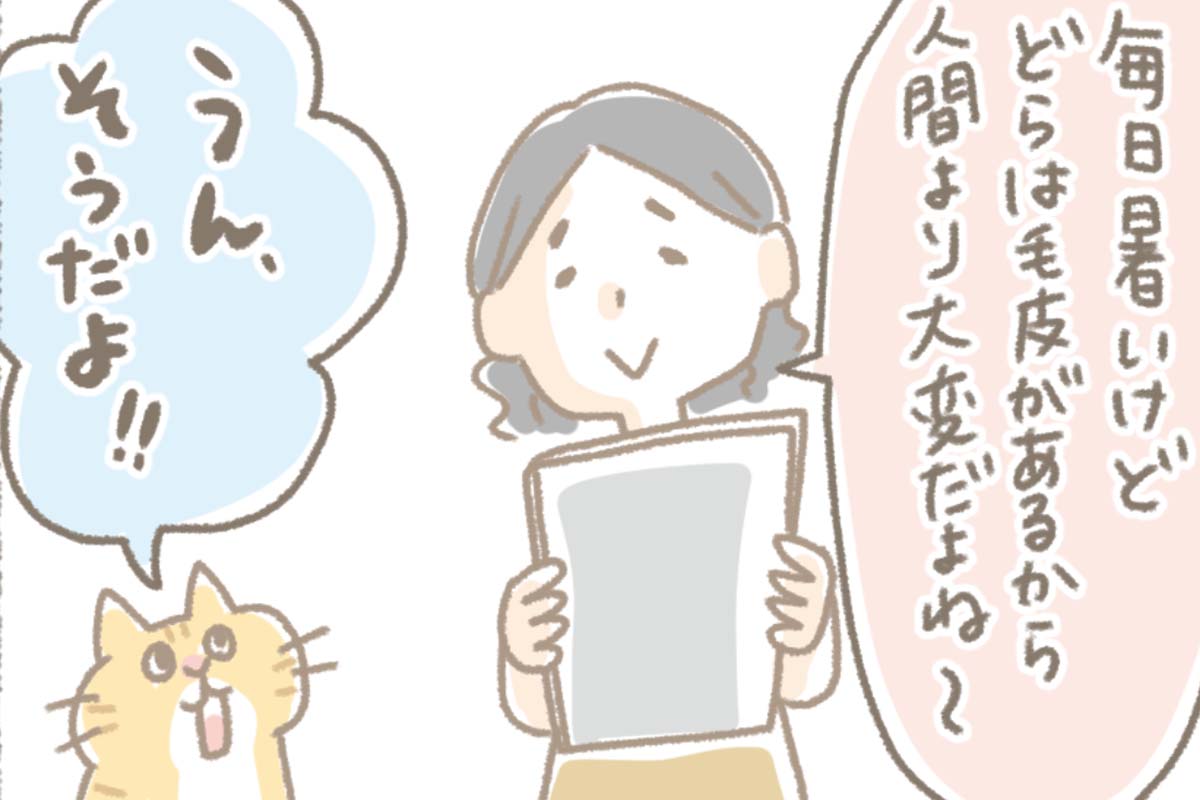 浅草革小物　Kanmi漫画「どらよりも・・・」