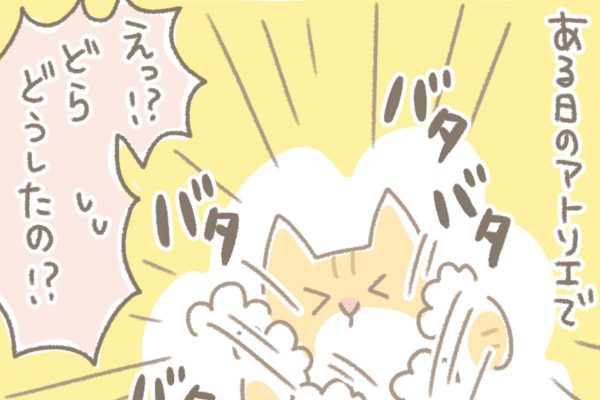 浅草革小物　Kanmi漫画「同志」